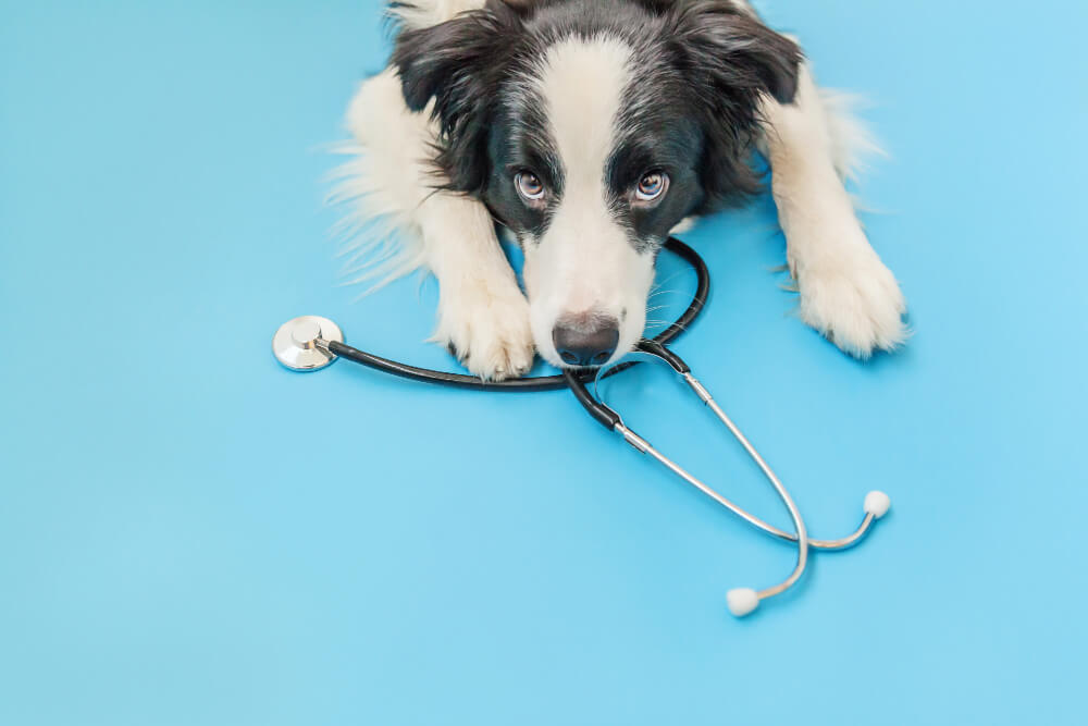 Wellness Exams  Earlton, NY